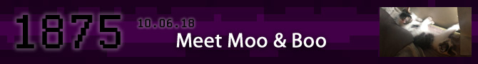 Entry #1875 – Meet Moo & Boo – 10/06/18