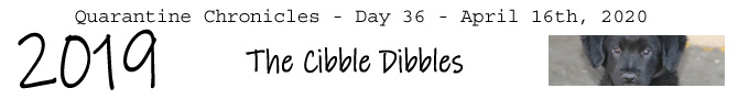 Entry #2019 – The Cibble Dibbles – 04/16/20